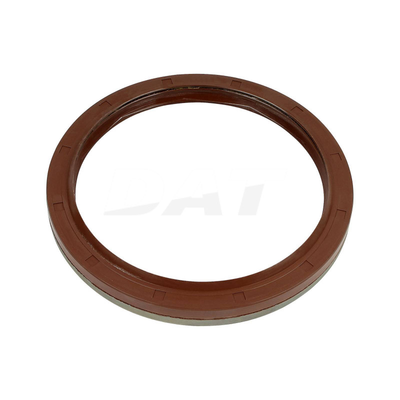 Oil Seal